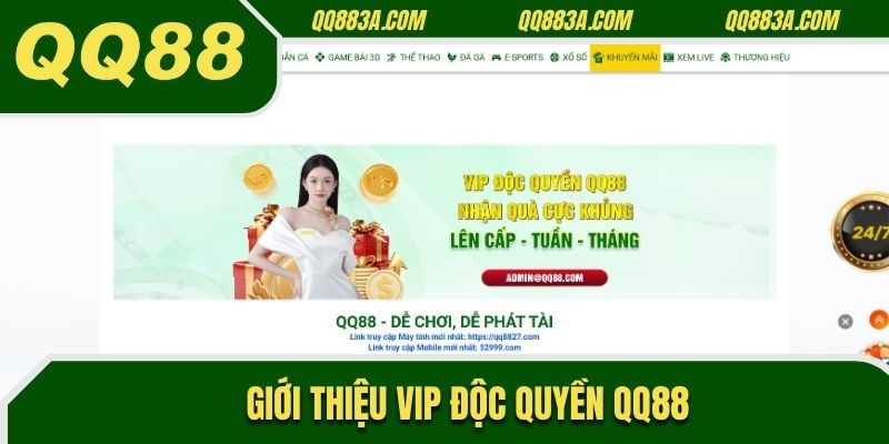 Giới thiệu Vip độc quyền QQ88