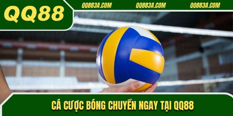 Cá cược bóng chuyền ngay tại QQ88